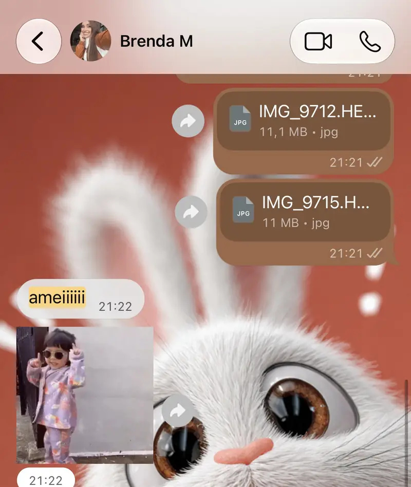 Print de feedback de Brenda M.