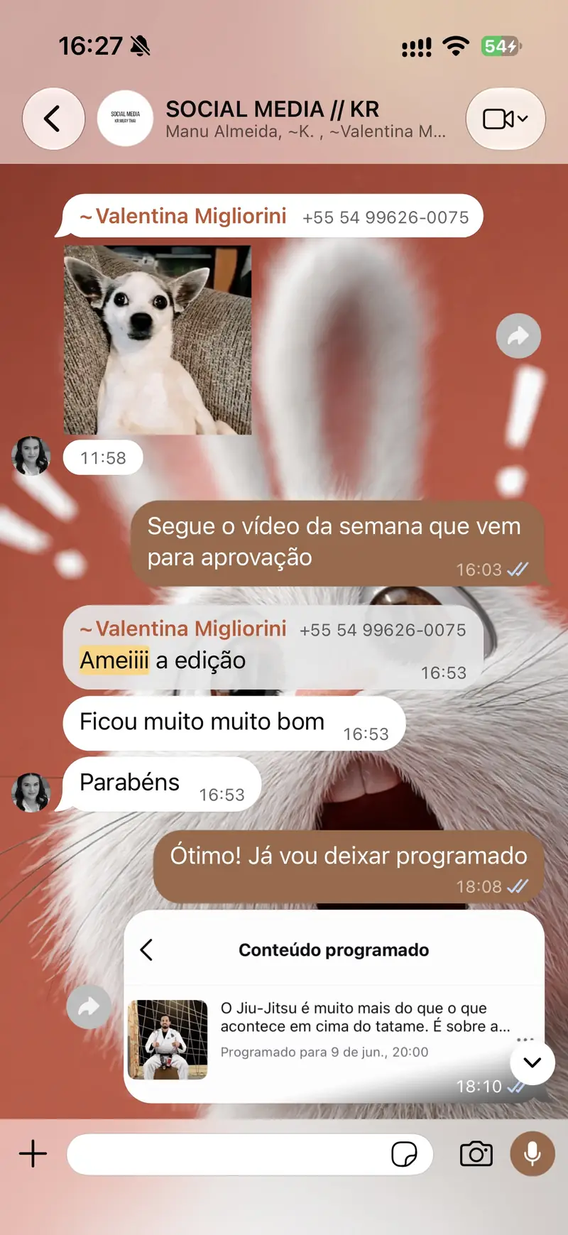 Print de feedback de KR Fitness Club